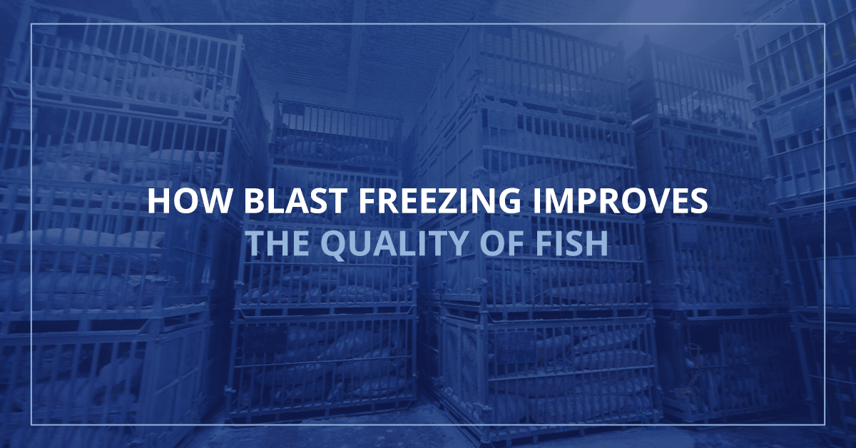 How Blast Freezing Improves the Quality of Fish